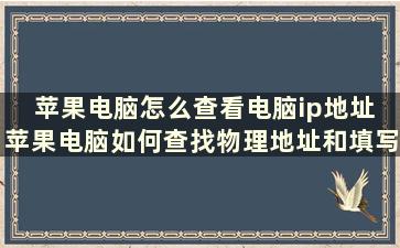 苹果电脑怎么查看电脑ip地址 苹果电脑如何查找物理地址和填写IP地址